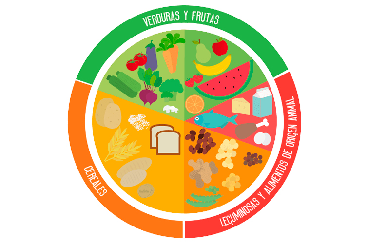 ¿Qué es el plato del buen comer?