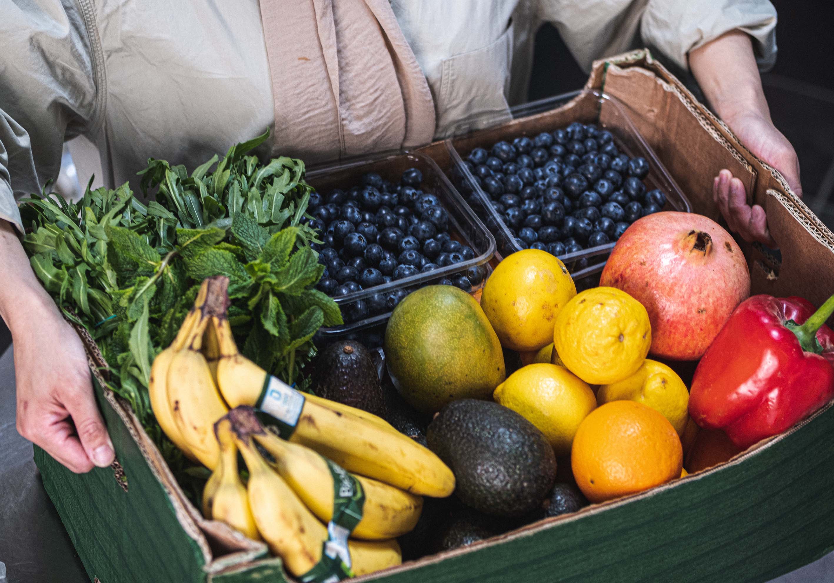 Plato del buen comer: Frutas y verduras