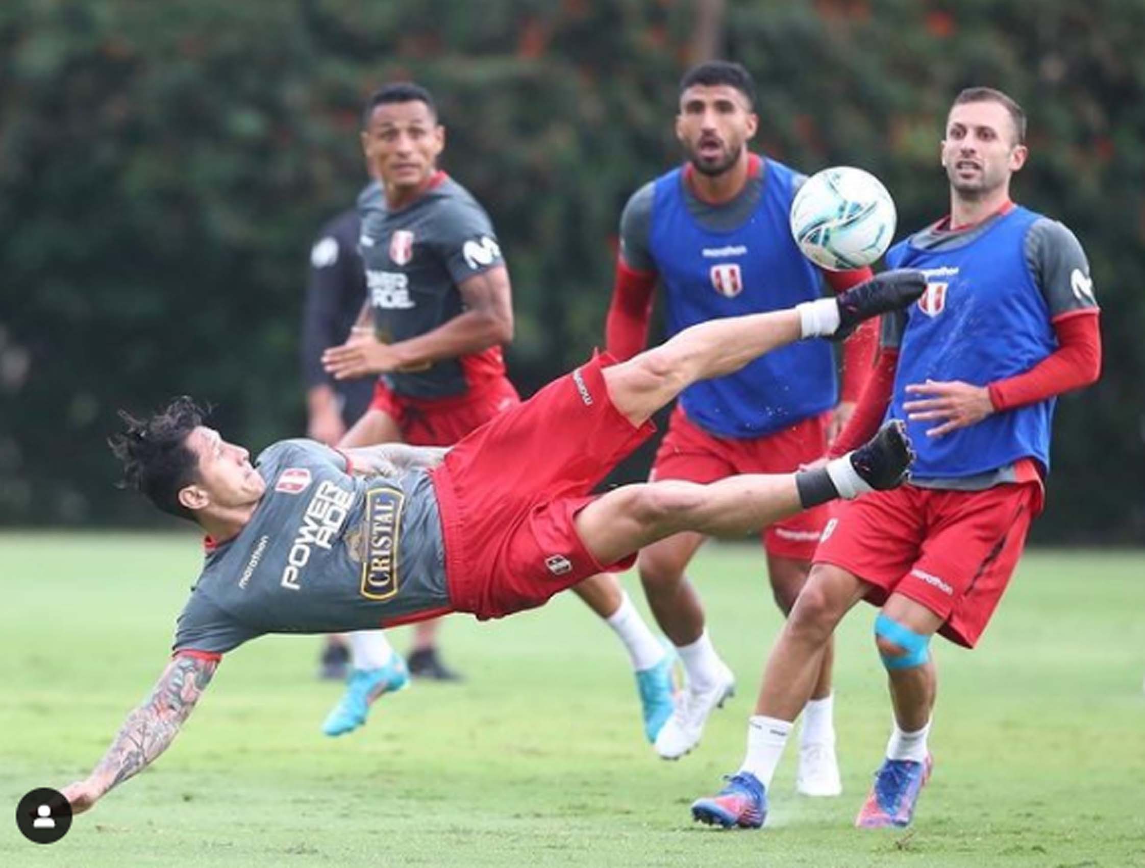Selección Peruana