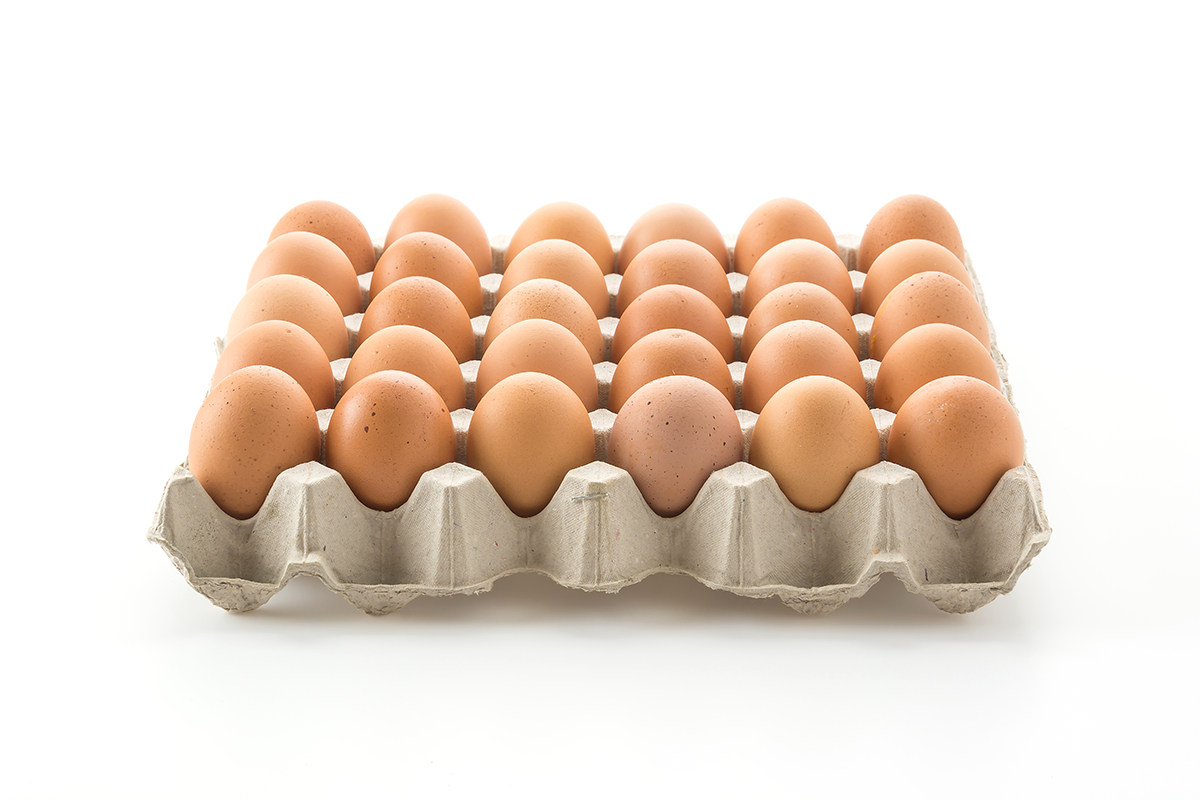 Mejores alimentos saludables para tu cerebro
