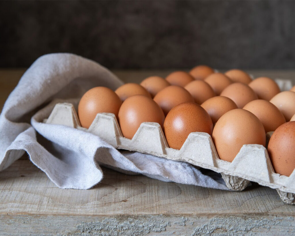 15 Alimentos Sanos